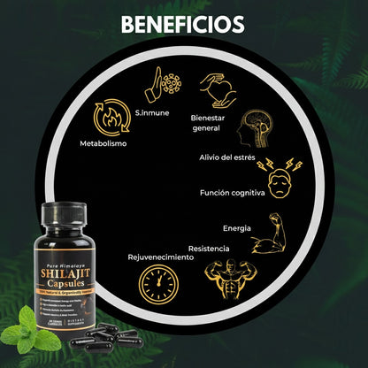 Shilajit Pure Himalaya – 60 Cápsulas
