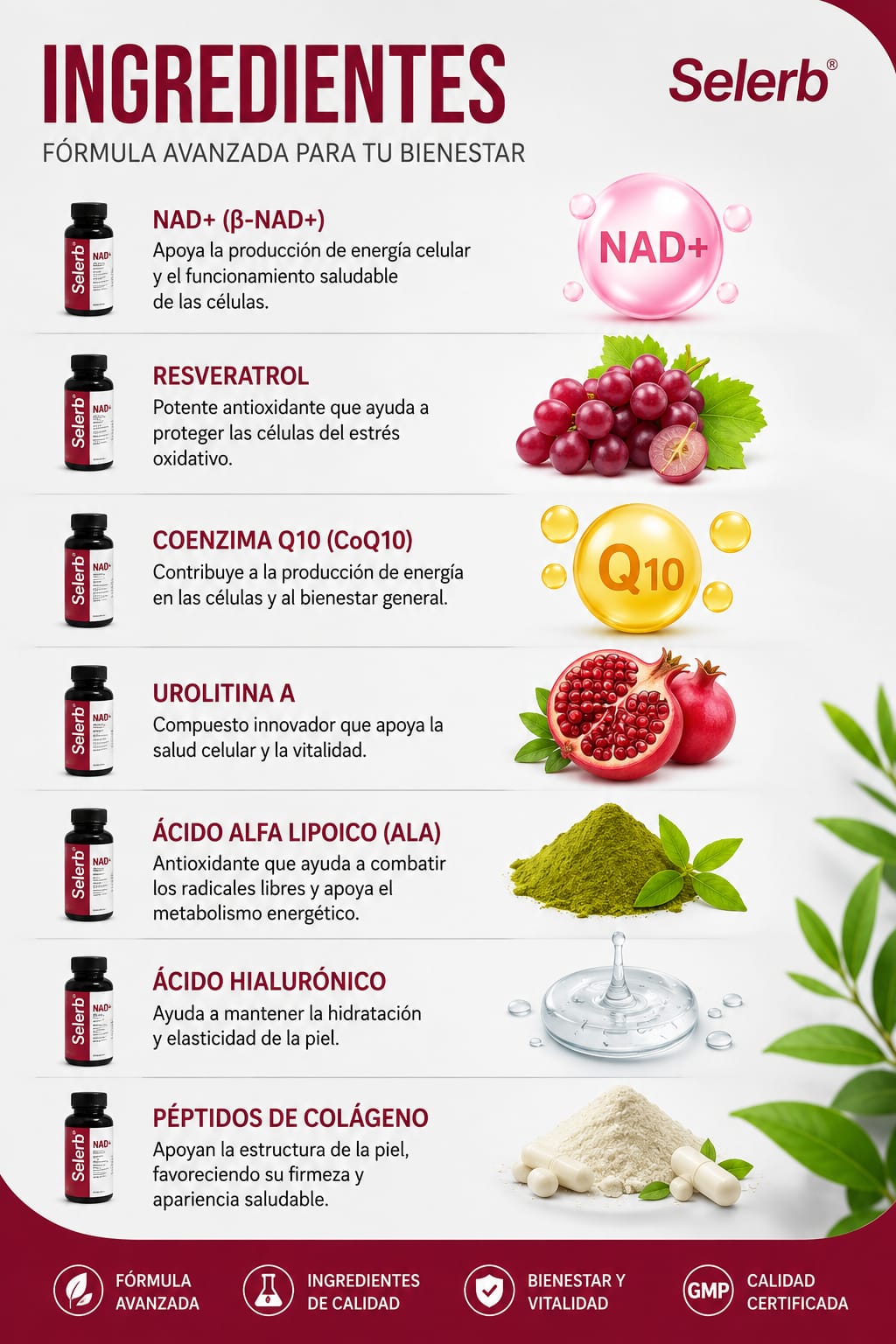 SELERB NAD+ For Women - 60 Cápsulas