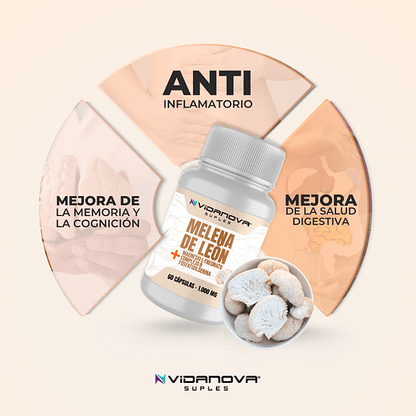 Melena de León – 1000mg por Porción | 60 Cápsulas | Función Cerebral y Memoria